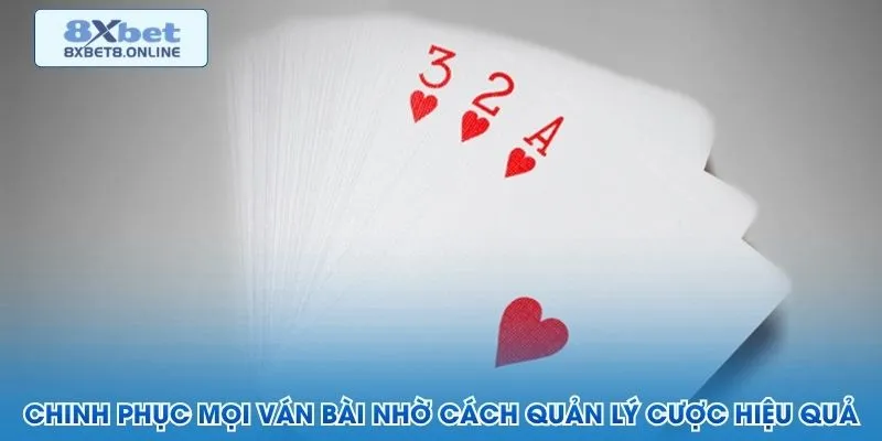 Chinh phục mọi ván bài nhờ cách quản lý cược hiệu quả