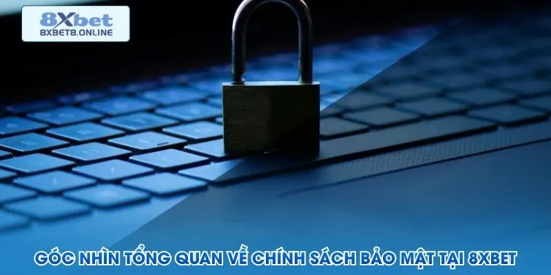 Góc nhìn tổng quan về chính sách bảo mật tại 8XBet