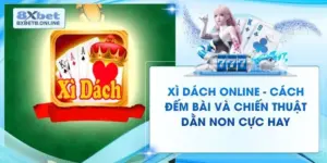 Xì Dách Online - Cách Đếm Bài Và Chiến Thuật Dằn Non Cực Hay